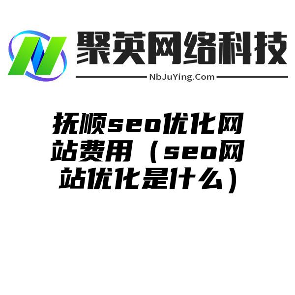 抚顺seo优化网站费用（seo网站优化是什么）