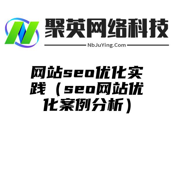 网站seo优化实践（seo网站优化案例分析）