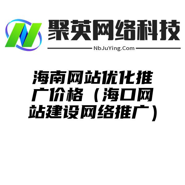 海南网站优化推广价格（海口网站建设网络推广）