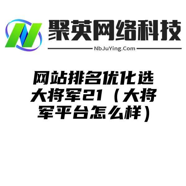 网站排名优化选大将军21（大将军平台怎么样）