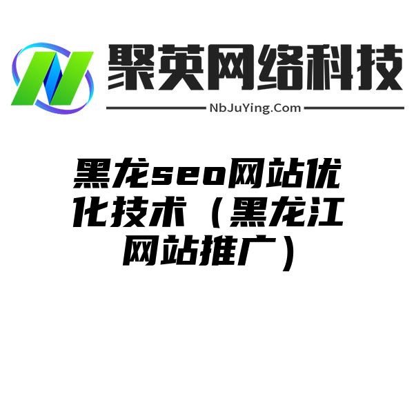 黑龙seo网站优化技术（黑龙江网站推广）