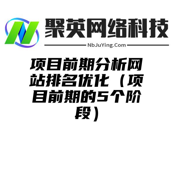 项目前期分析网站排名优化（项目前期的5个阶段）