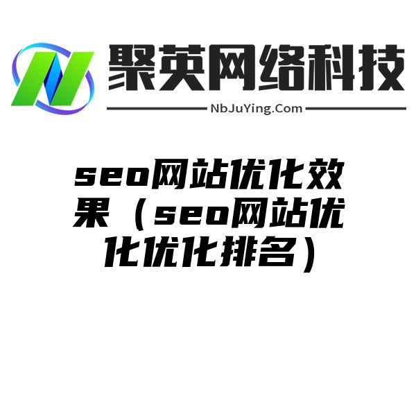 seo网站优化效果（seo网站优化优化排名）