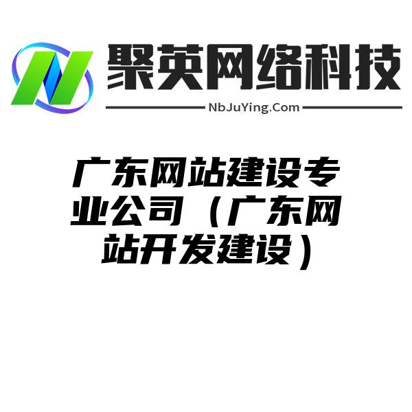 广东网站建设专业公司（广东网站开发建设）