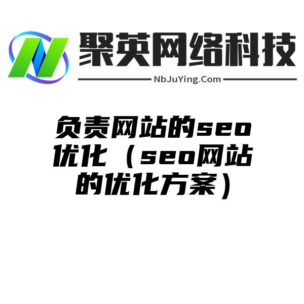 负责网站的seo优化（seo网站的优化方案）