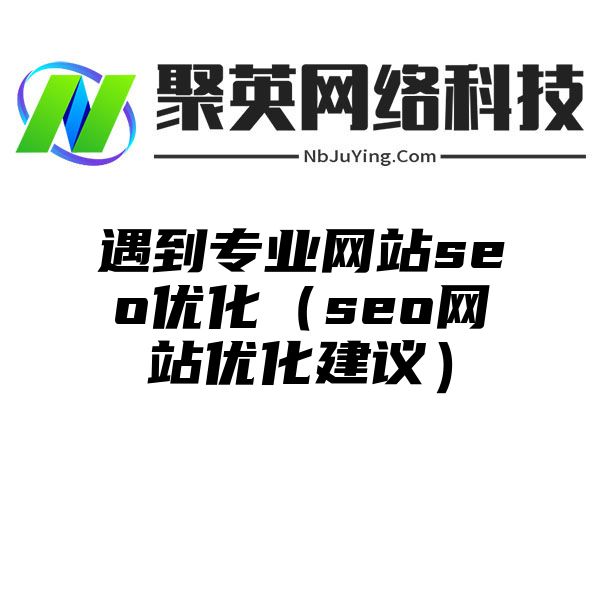 遇到专业网站seo优化（seo网站优化建议）