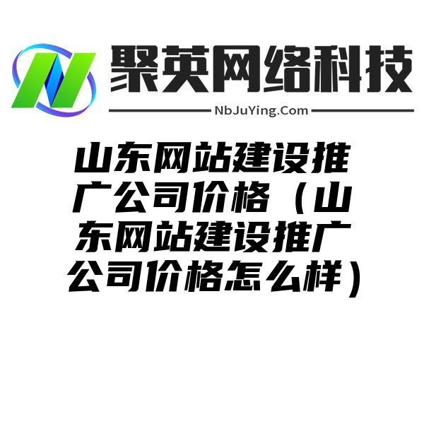 山东网站建设推广公司价格（山东网站建设推广公司价格怎么样）