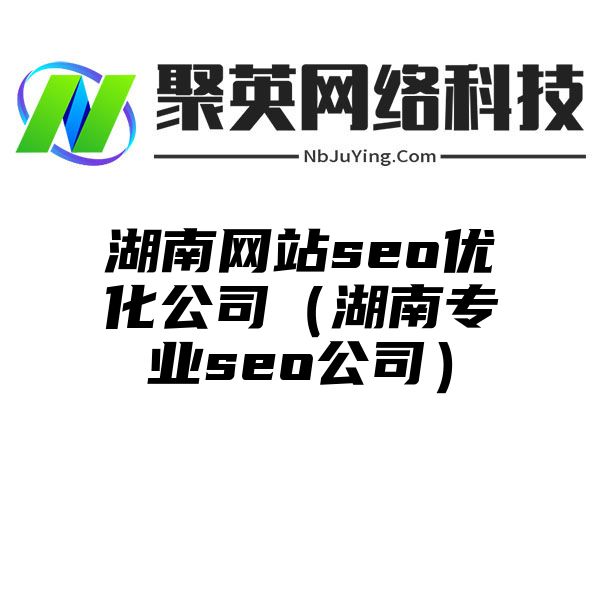 湖南网站seo优化公司（湖南专业seo公司）