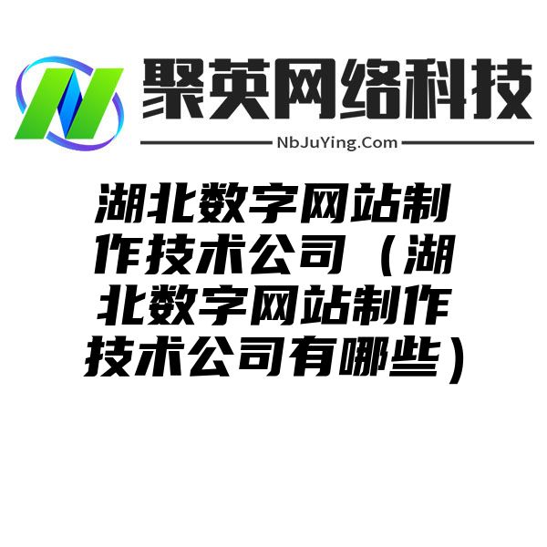 湖北数字网站制作技术公司（湖北数字网站制作技术公司有哪些）