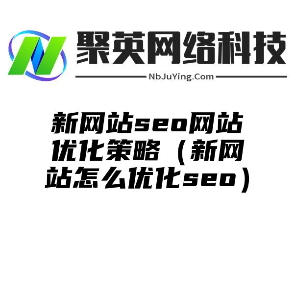 新网站seo网站优化策略（新网站怎么优化seo）