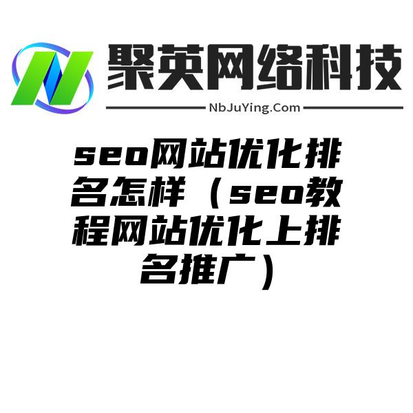 seo网站优化排名怎样（seo教程网站优化上排名推广）