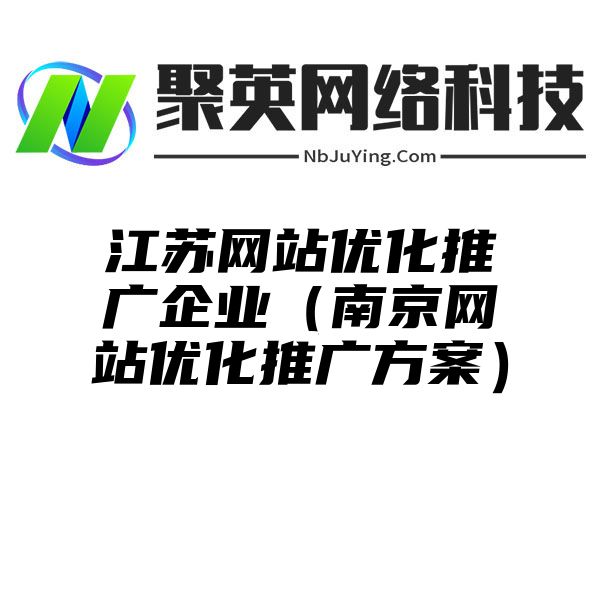 江苏网站优化推广企业（南京网站优化推广方案）