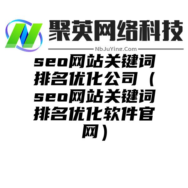 seo网站关键词排名优化公司（seo网站关键词排名优化软件官网）