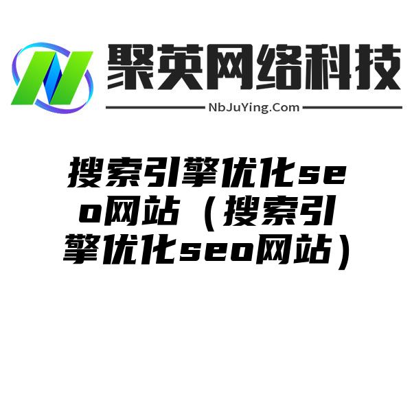 搜索引擎优化seo网站（搜索引擎优化seo网站）