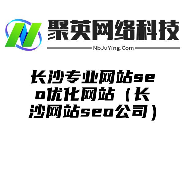 长沙专业网站seo优化网站（长沙网站seo公司）