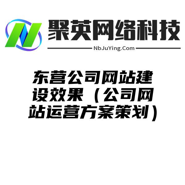 东营公司网站建设效果（公司网站运营方案策划）