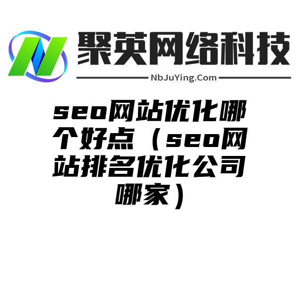 seo网站优化哪个好点（seo网站排名优化公司哪家）