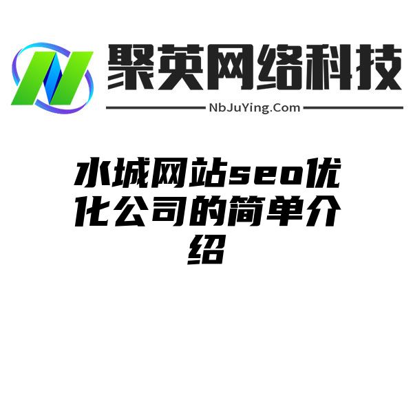 水城网站seo优化公司的简单介绍