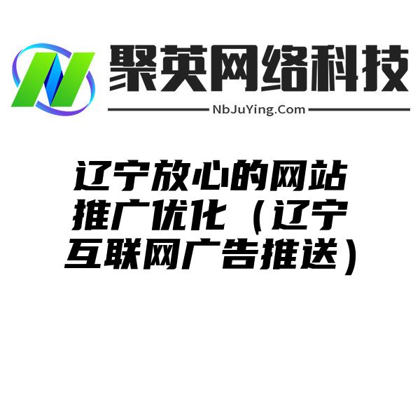 辽宁放心的网站推广优化（辽宁互联网广告推送）