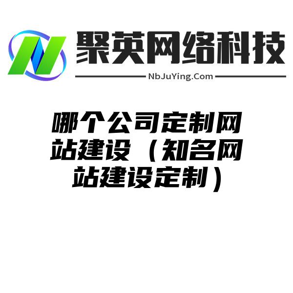 哪个公司定制网站建设（知名网站建设定制）