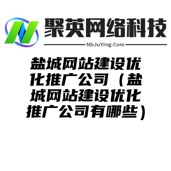 盐城网站建设优化推广公司（盐城网站建设优化推广公司有哪些）