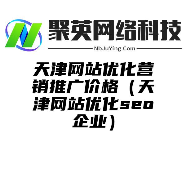 天津网站优化营销推广价格（天津网站优化seo企业）