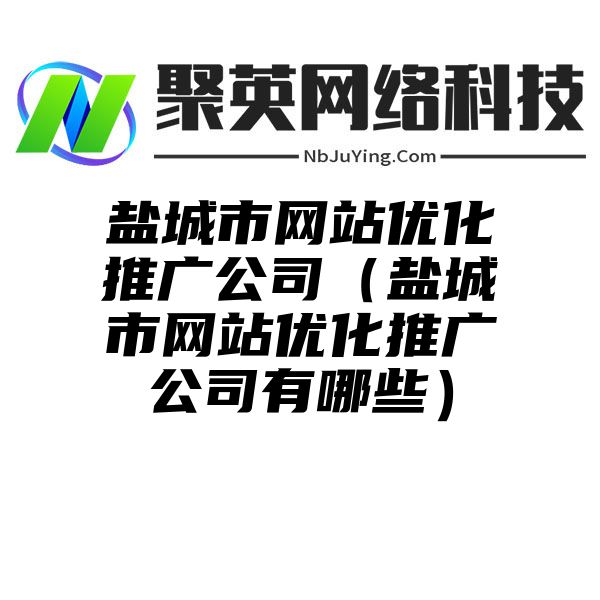 盐城市网站优化推广公司（盐城市网站优化推广公司有哪些）