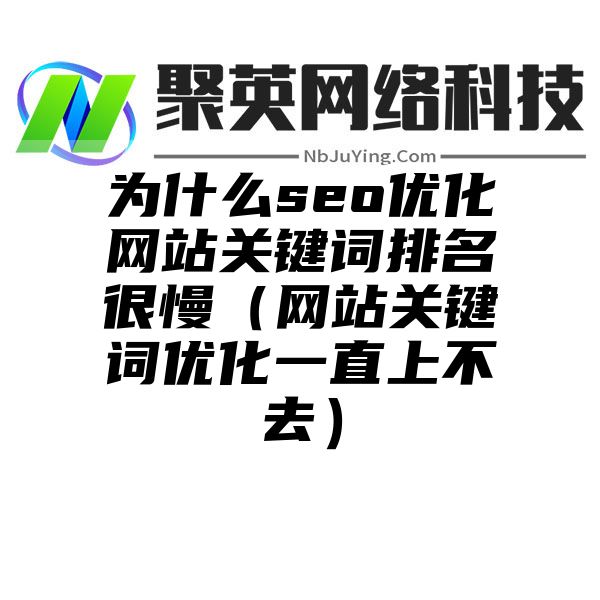 为什么seo优化网站关键词排名很慢（网站关键词优化一直上不去）