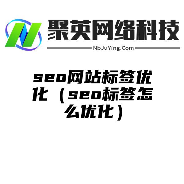 seo网站标签优化（seo标签怎么优化）