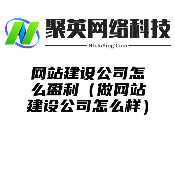 网站建设公司怎么盈利（做网站建设公司怎么样）