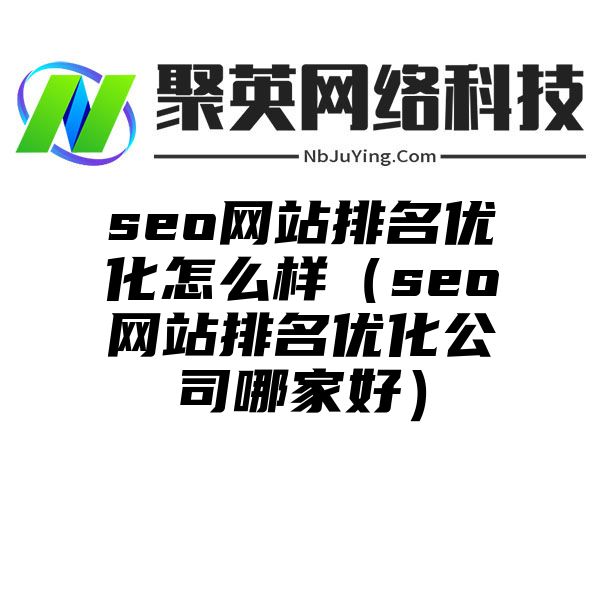 seo网站排名优化怎么样（seo网站排名优化公司哪家好）