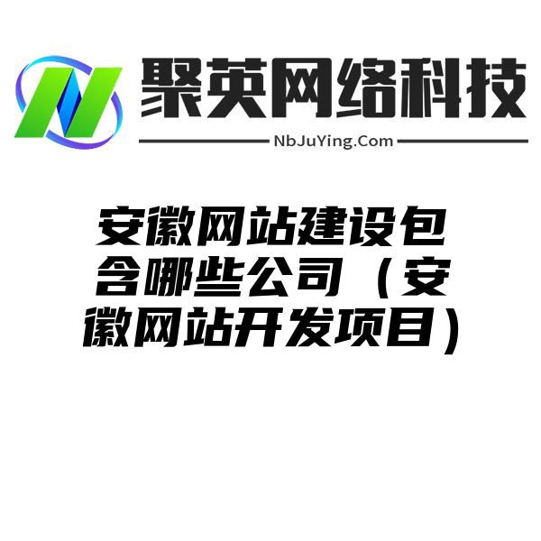 安徽网站建设包含哪些公司（安徽网站开发项目）