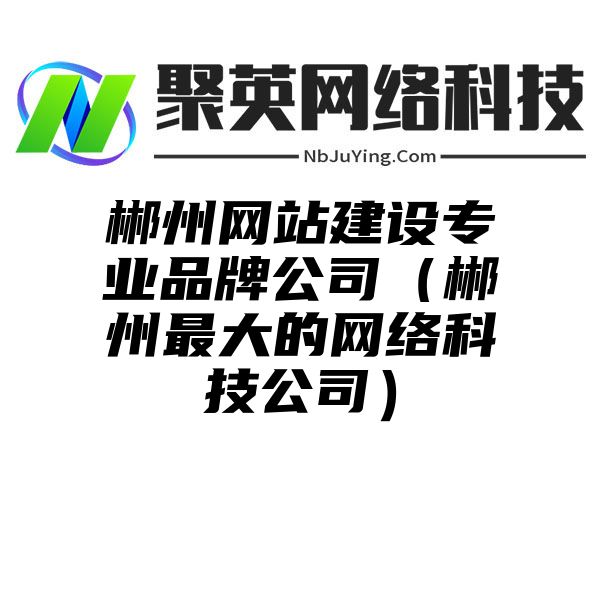 郴州网站建设专业品牌公司（郴州最大的网络科技公司）