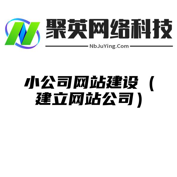 小公司网站建设（建立网站公司）