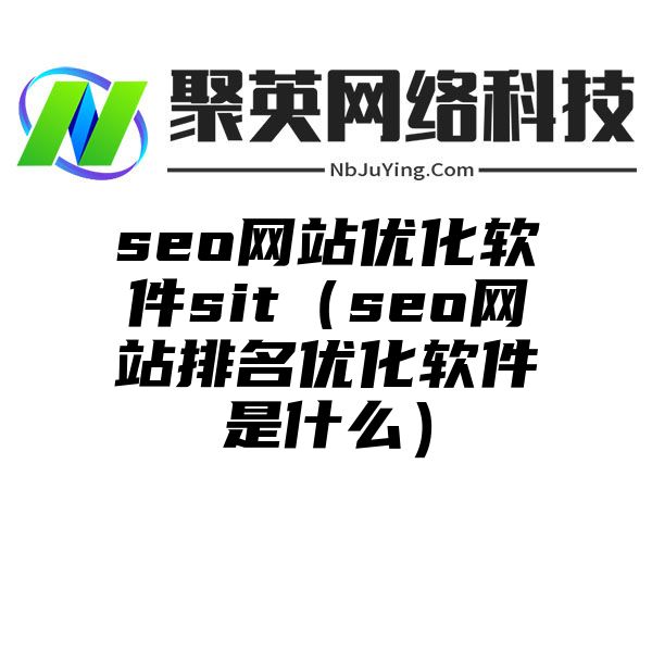 seo网站优化软件sit（seo网站排名优化软件是什么）